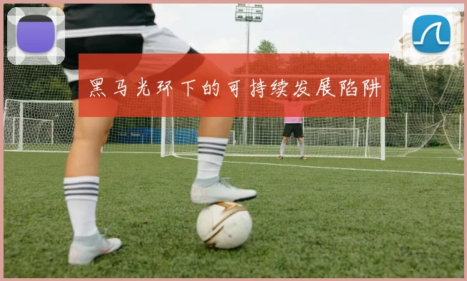 黑马光环下的可持续发展陷阱